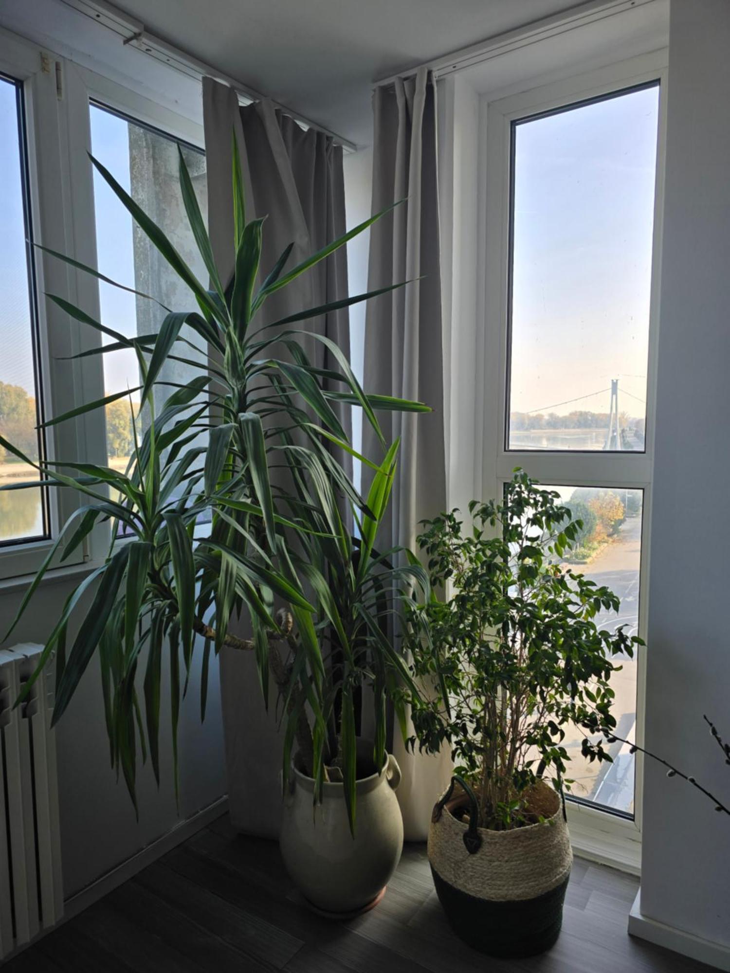 Riverview Apartment Осиек Экстерьер фото